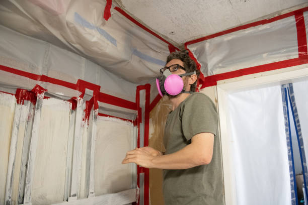 Best Crawl Space Mold Remediation  in USA